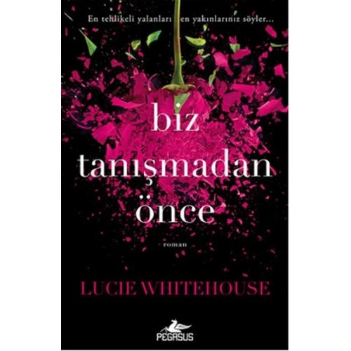 Biz Tanışmadan Önce