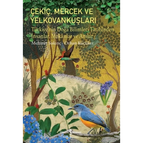 Çekiç, Mercek ve Yelkovankuşları