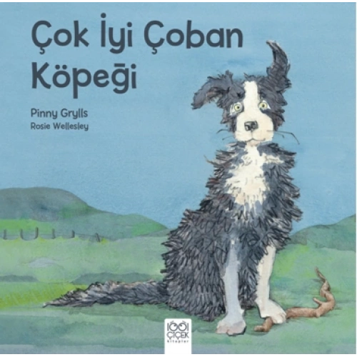 Çok İyi Çoban Köpeği