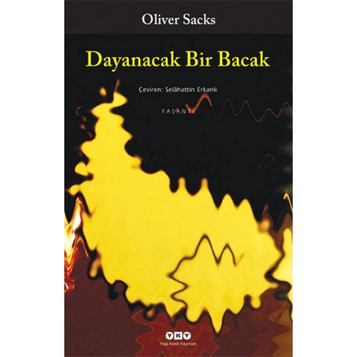 Dayanacak Bir Bacak
