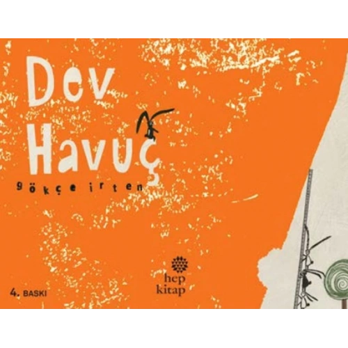 Dev Havuç