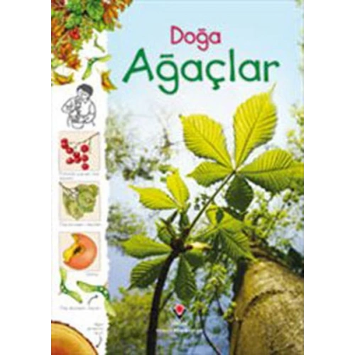 Doğa - Ağaçlar