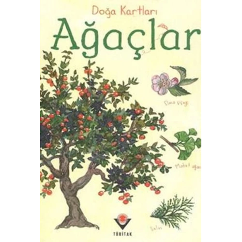 Doğa Kartları - Ağaçlar
