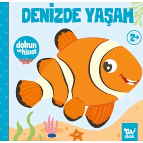 Dokun ve Hisset Denizde Yaşam