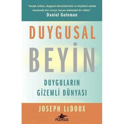 Duygusal Beyin: Duyguların Gizemli Dünyası