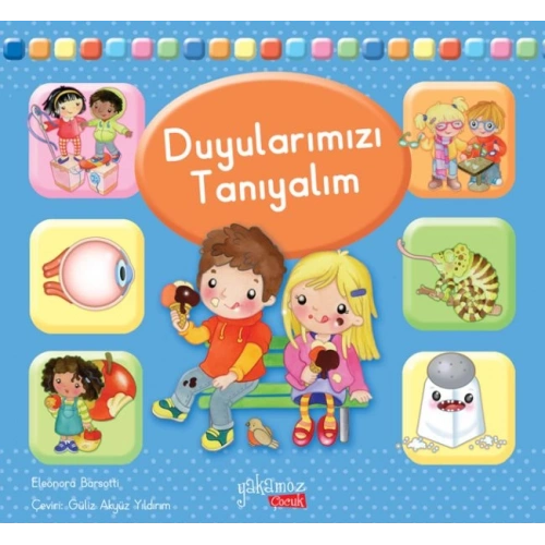 Duyularımızı Tanıyalım
