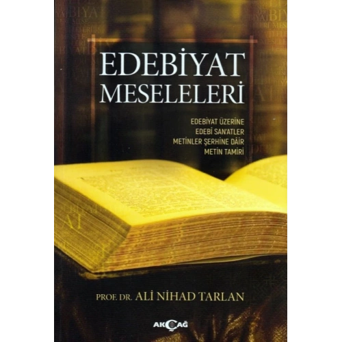 Edebiyatın Meseleleri