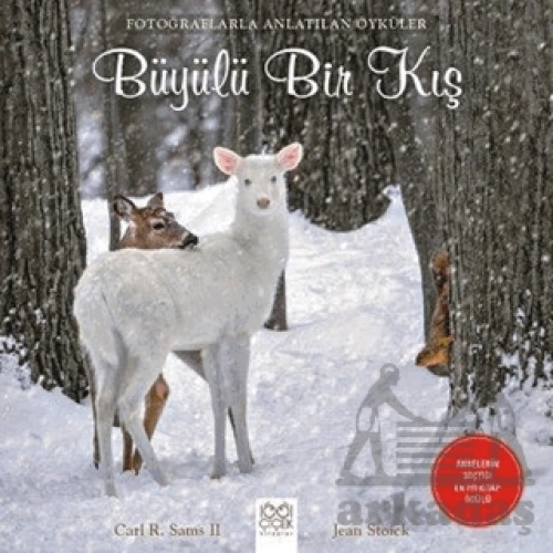 Fotoğraflarla Anlatılan Öyküler - Büyülü Bir Kış