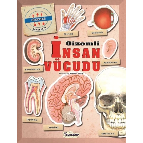 Gizemleri Öğrenelim - Gizemli İnsan Vücudu