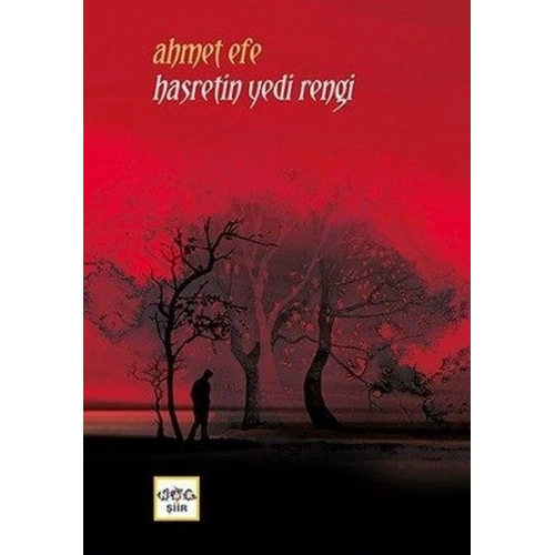 Hasretin Yedi Rengi