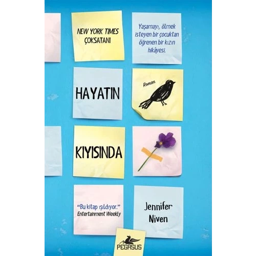 Hayatın Kıyısında (Ciltli)