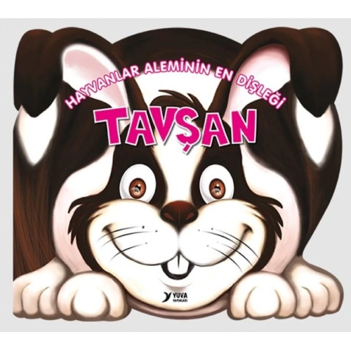 Hayvanlar Aleminin En Dişleği : Tavşan