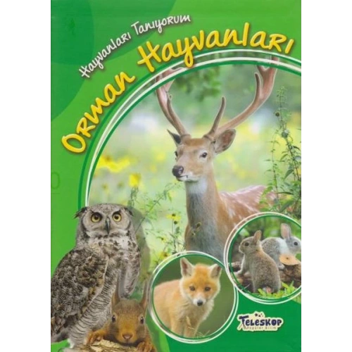 Hayvanları Tanıyorum Orman Hayvanları