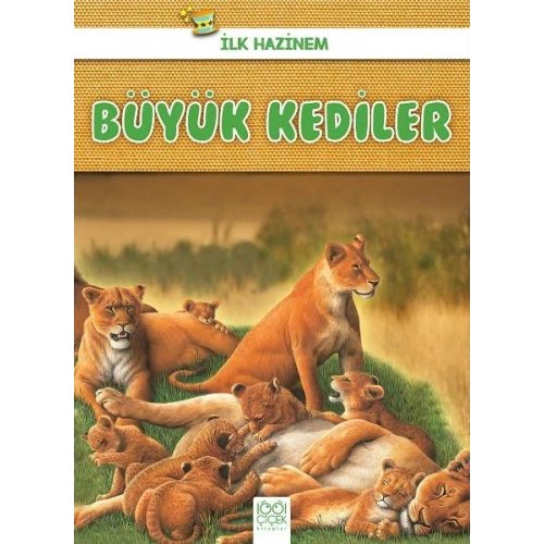İlk Hazinem - Büyük Kediler