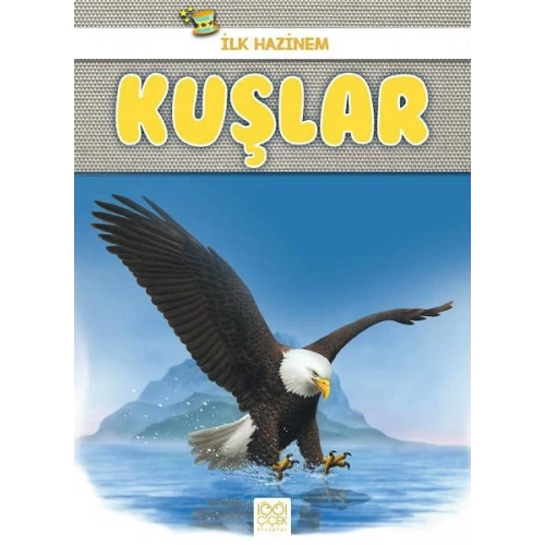 İlk Hazinem - Kuşlar