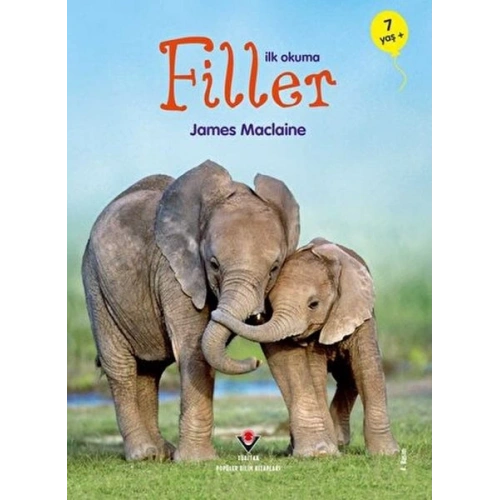 İlk Okuma - Filler