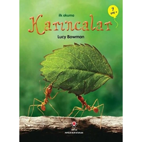 İlk Okuma - Karıncalar
