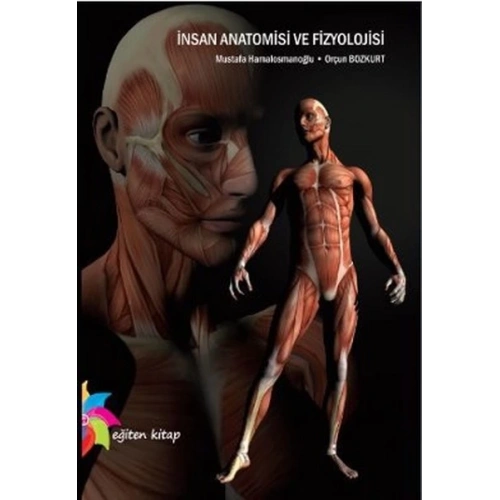 İnsan Anatomisi ve Fizyolojisi