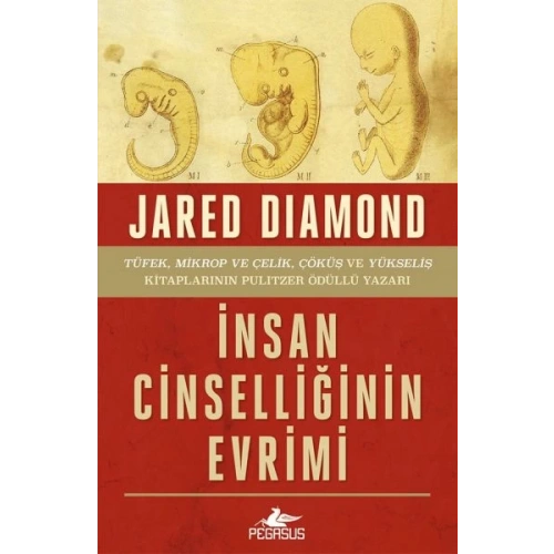 İnsan Cinselliğinin Evrimi - Ciltsiz