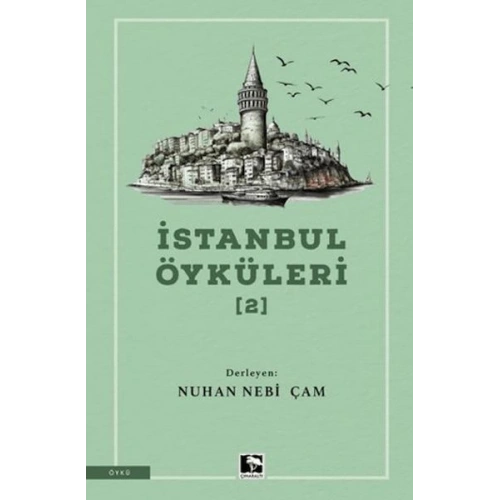 İstanbul Öyküleri 2