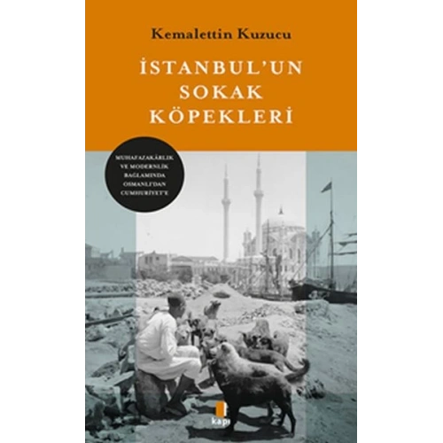 İstanbul’un Sokak Köpekleri