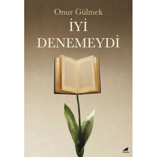 İyi Denemeydi