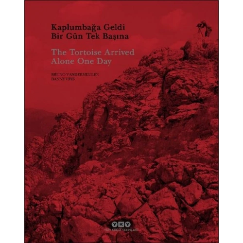 Kaplumbağa Geldi Bir Gün Tek Başına