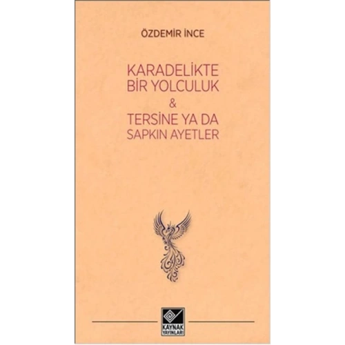 Kara Delikte Bir Yolculuk ve Tersine ya da Sapkın Ayetler