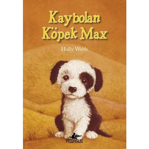 Kaybolan Köpek Max