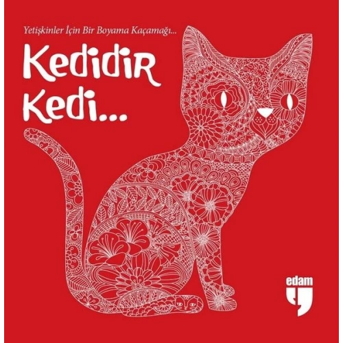 Kedidir Kedi...
