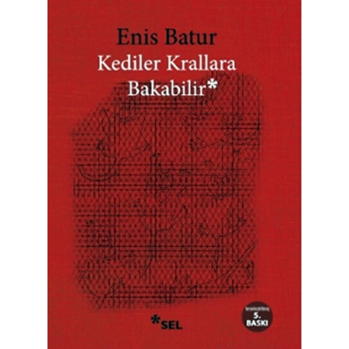 Kediler Krallara Bakabilir
