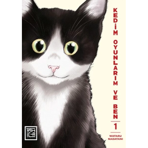 Kedim Oyunlarım ve Ben 1