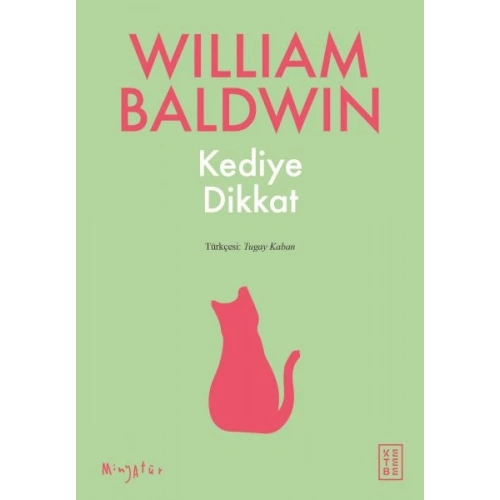 Kediye Dikkat