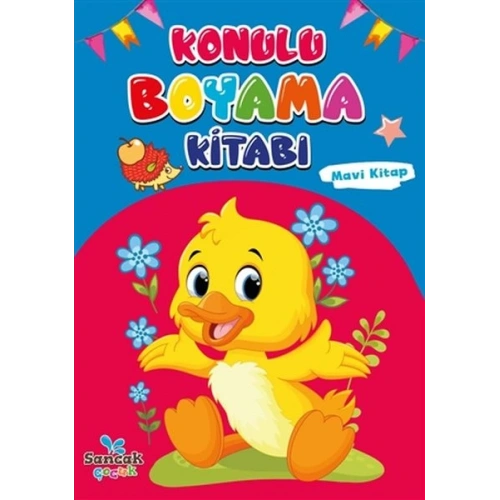 Konulu Boyama Kitabı - Mavi Kitap