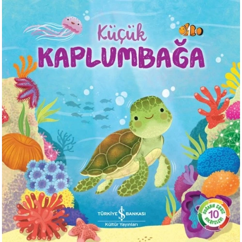 Küçük Kaplumbağa