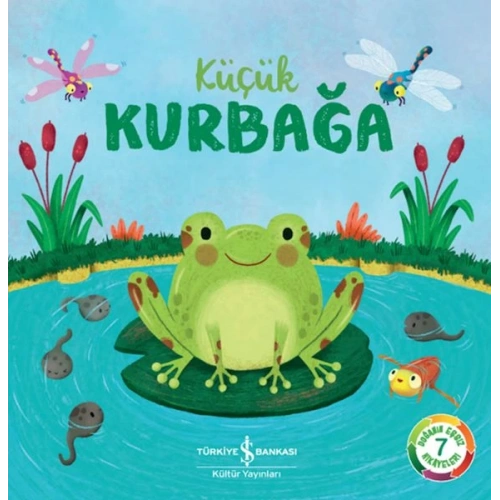 Küçük Kurbağa