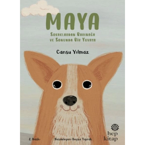 Maya - Sokaklardan Barınağa ve Sonunda Bir Yuvaya