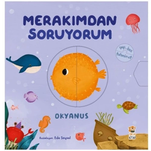 Merakımdan Soruyorum - Okyanus