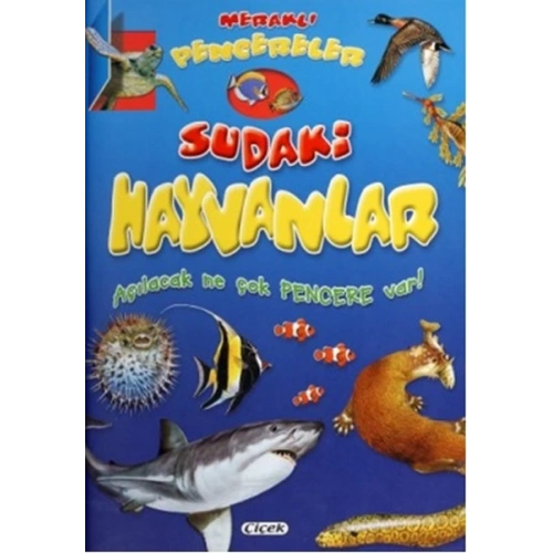 Meraklı Pencereler Sudaki Hayvanlar