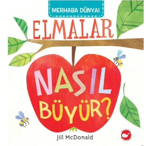 Merhaba Dünya - Elmalar Nasıl Büyür?