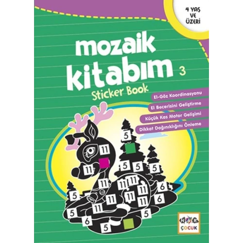 Mozaik Kitabım 3