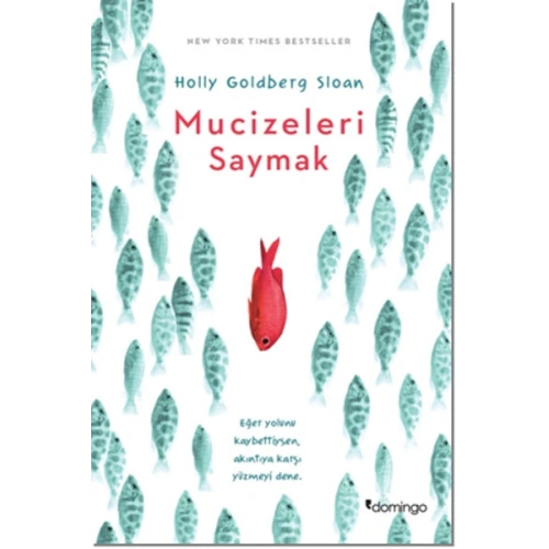 Mucizeleri Saymak
