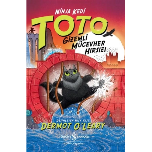 Ninja Kedi Toto – Gizemli Mücevher Hırsızı