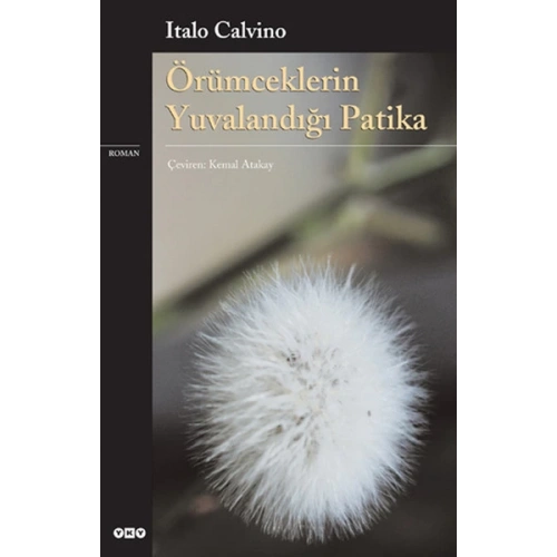 Örümceklerin Yuvalandığı Patika