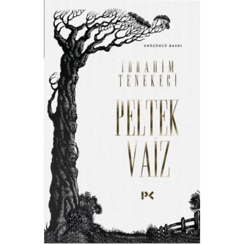 Peltek Vaiz