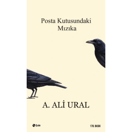 Posta Kutusundaki Mızıka