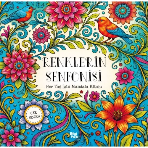 Renklerin Senfonisi – Her Yaş İçin Mandala - Çek Kopar