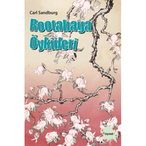 Rootabaga Öyküleri