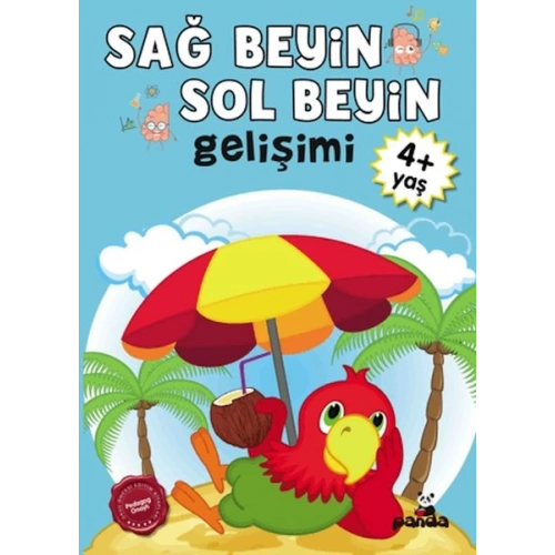 Sağ Beyin-Sol Beyin Gelişimi 4+ Yaş    