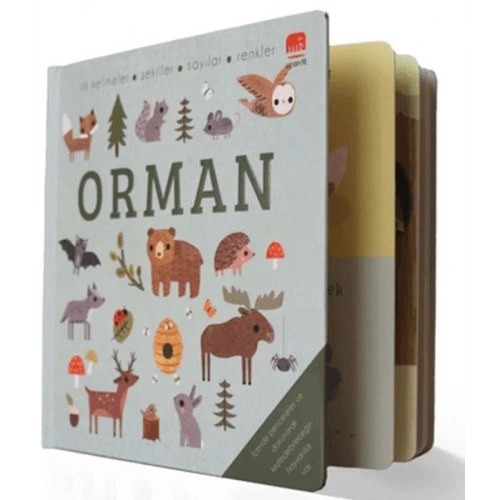 Say Bul Eğlen Orman